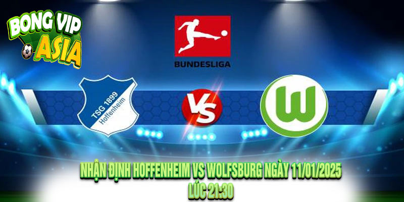 Nhận Định Hoffenheim vs Wolfsburg Ngày 11/01/2025