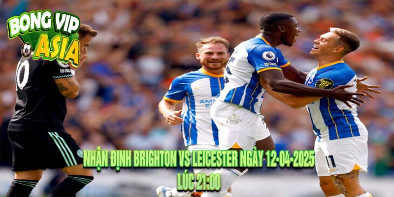 Nhận định Brighton vs Leicester Ngày 12-04-2025